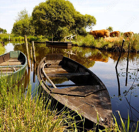 Le Carré Doré barques