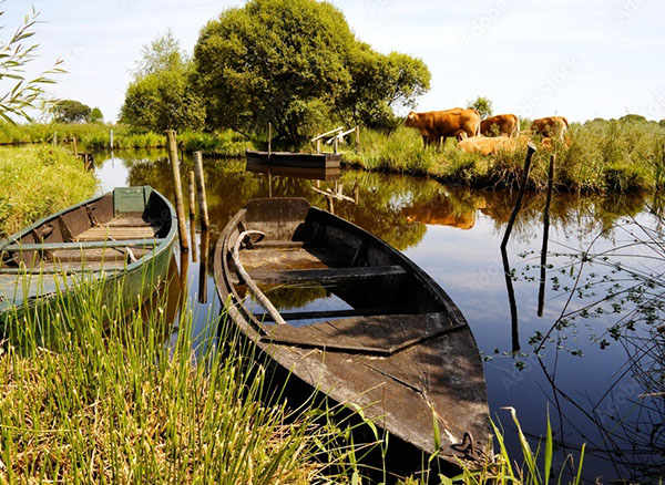 Le Carré Doré barques