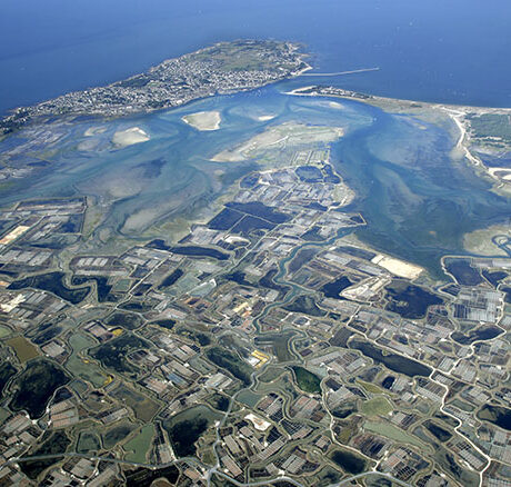 Le Carré Doré Guérande