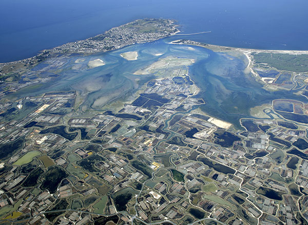 Le Carré Doré Guérande